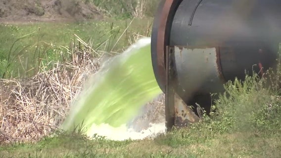 Piney Point study shows contaminated water spread further than initially predicted