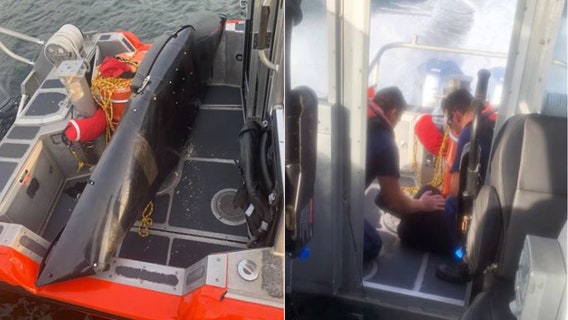 Kayaker clinging to piling off Gandy Beach rescued by Coast Guard