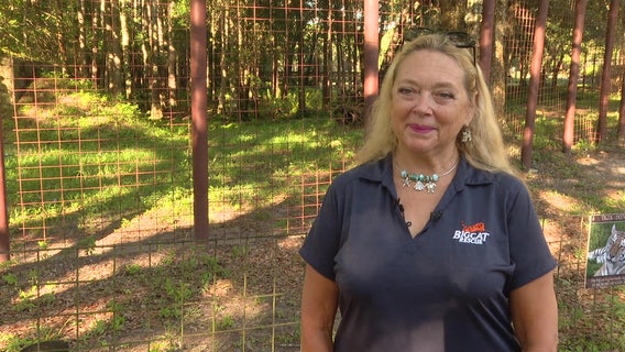 Tiger King’s Carole Baskin asks Florida Supreme Court to review ruling on defamation lawsuit