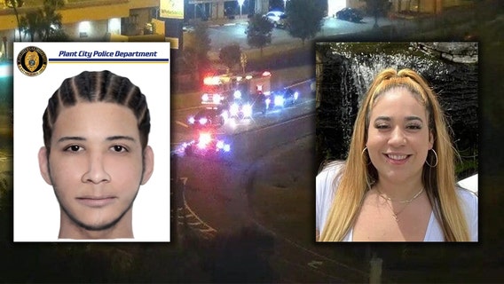 Sketch of road rage suspect in deadly I-4 shooting released by investigators two months later