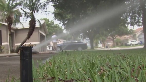 Summer fertilizer bans in place for Bay area counties to prevent algae blooms