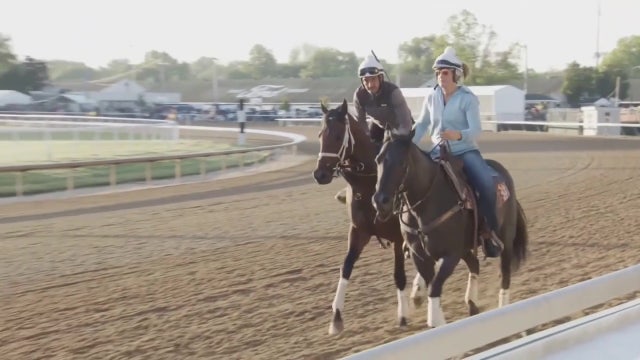 Churchill Downs races suspended due to horse deaths
