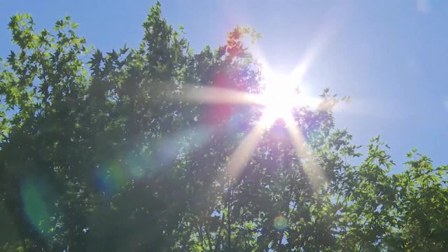 Triple-digit heat index scorches Bay Area