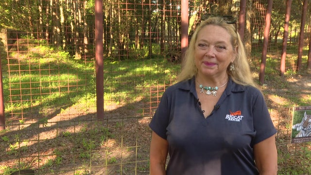 Tiger King’s Carole Baskin asks Florida Supreme Court to review ruling on defamation lawsuit