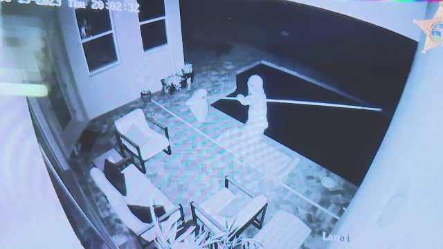 Pinellas sheriff: No charges for Dunedin homeowner who shot at pool cleaner