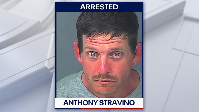 Anthony Stravino mugshot courtesy of the Hernando County Sheriff's Office. 