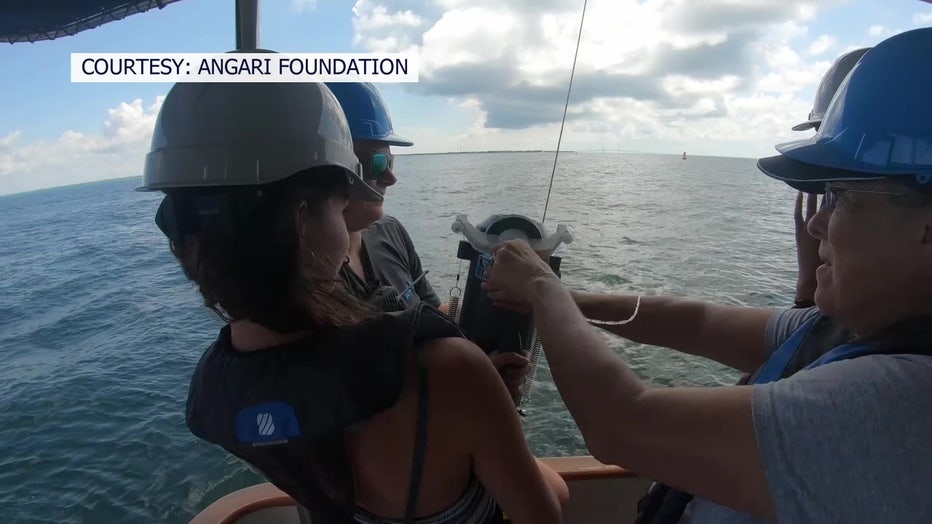 The ANGARI Foundation works with USF to offer cruise explorations for students.