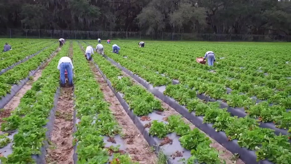 Experts say that the new bill could impact Florida's economy.