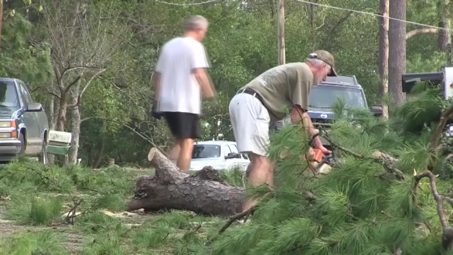 Two men clean up after a tree fell. 
