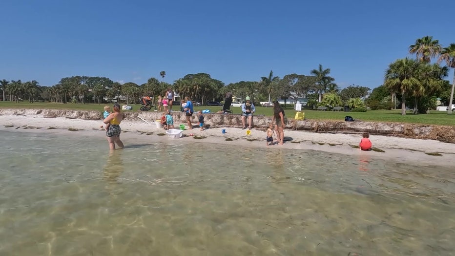 Parents and children along the shore at Wild School. 