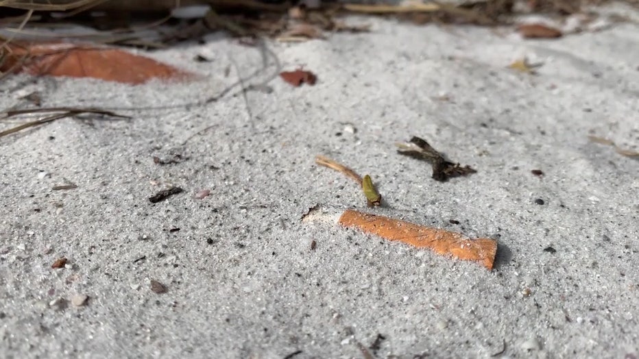 Cigarette butt on beach. 