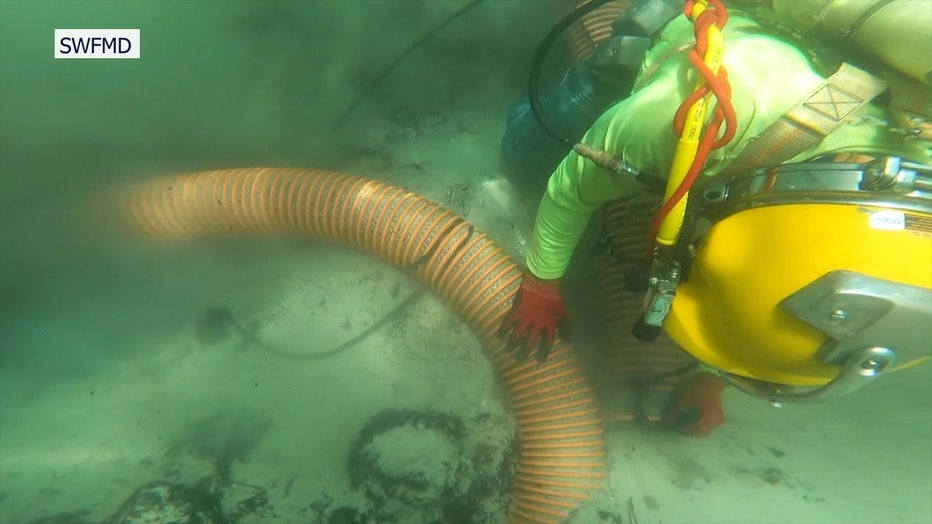 A diver dredges a portion of the Weeki Wachee River.