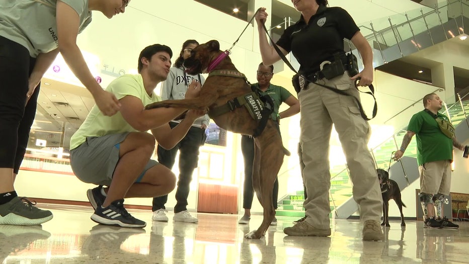 Bailey greets a USF student. 