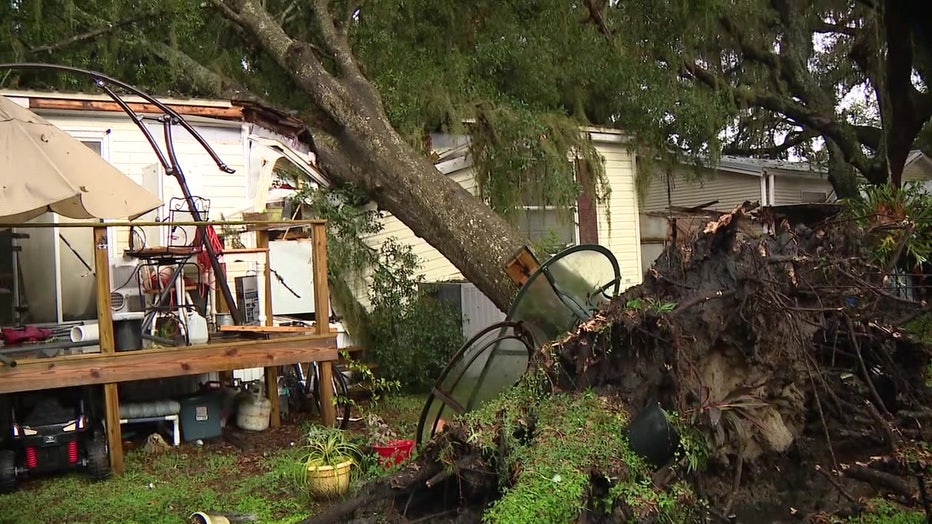 A severe storm caused a tree to fall on top of a Lutz mobile home.