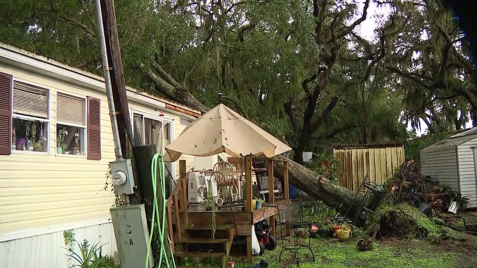 The family says lightning struck the tree.