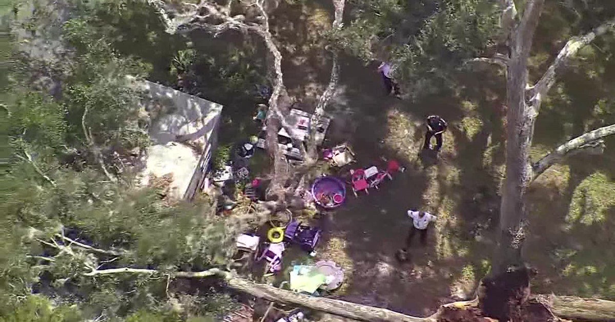 Hernando woman killed when tree falls on home: HCSO | FOX 13 Tampa Bay