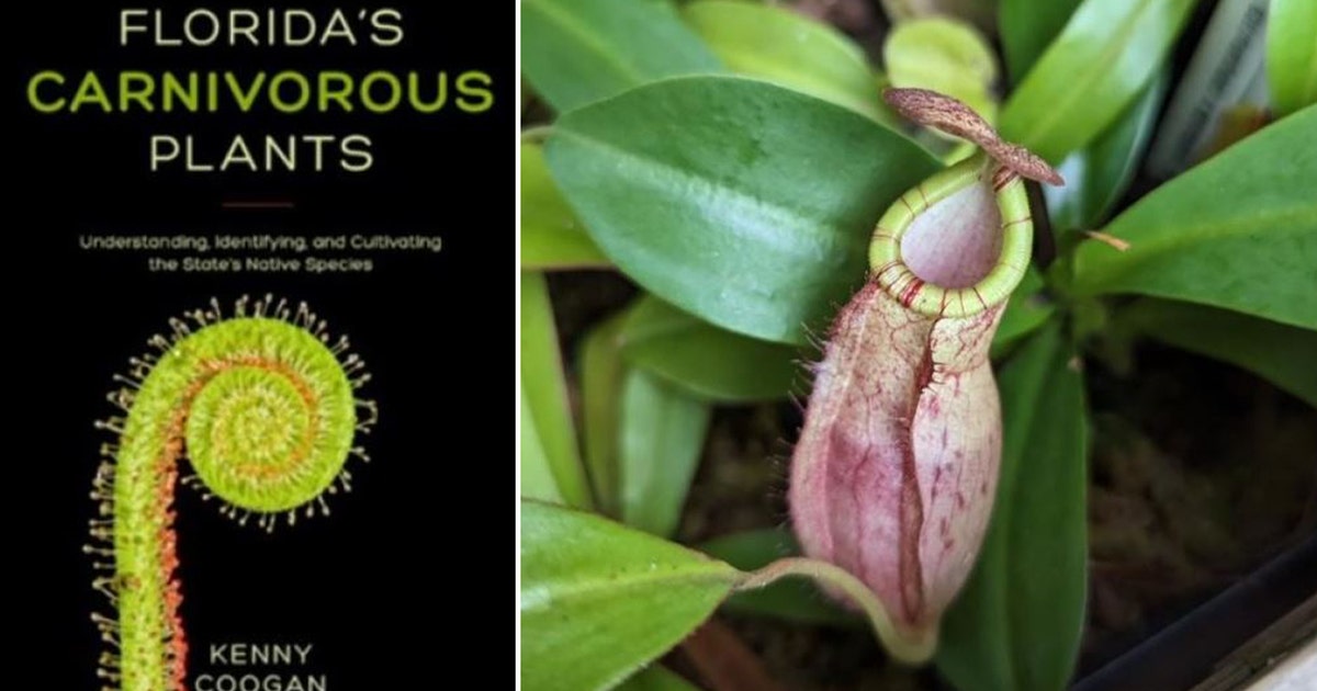 tampa-bay-reads-carnivorous- tampa-bay-reads-carnivorous-