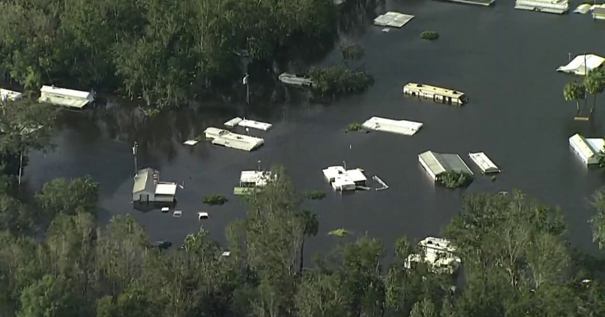 Flooding after Hurricane Ian could have moved 152 non-native species to ...