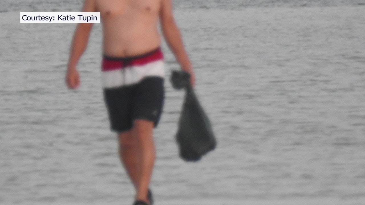 Sea life poaching growing issue in Manatee County - Vimarsana News
