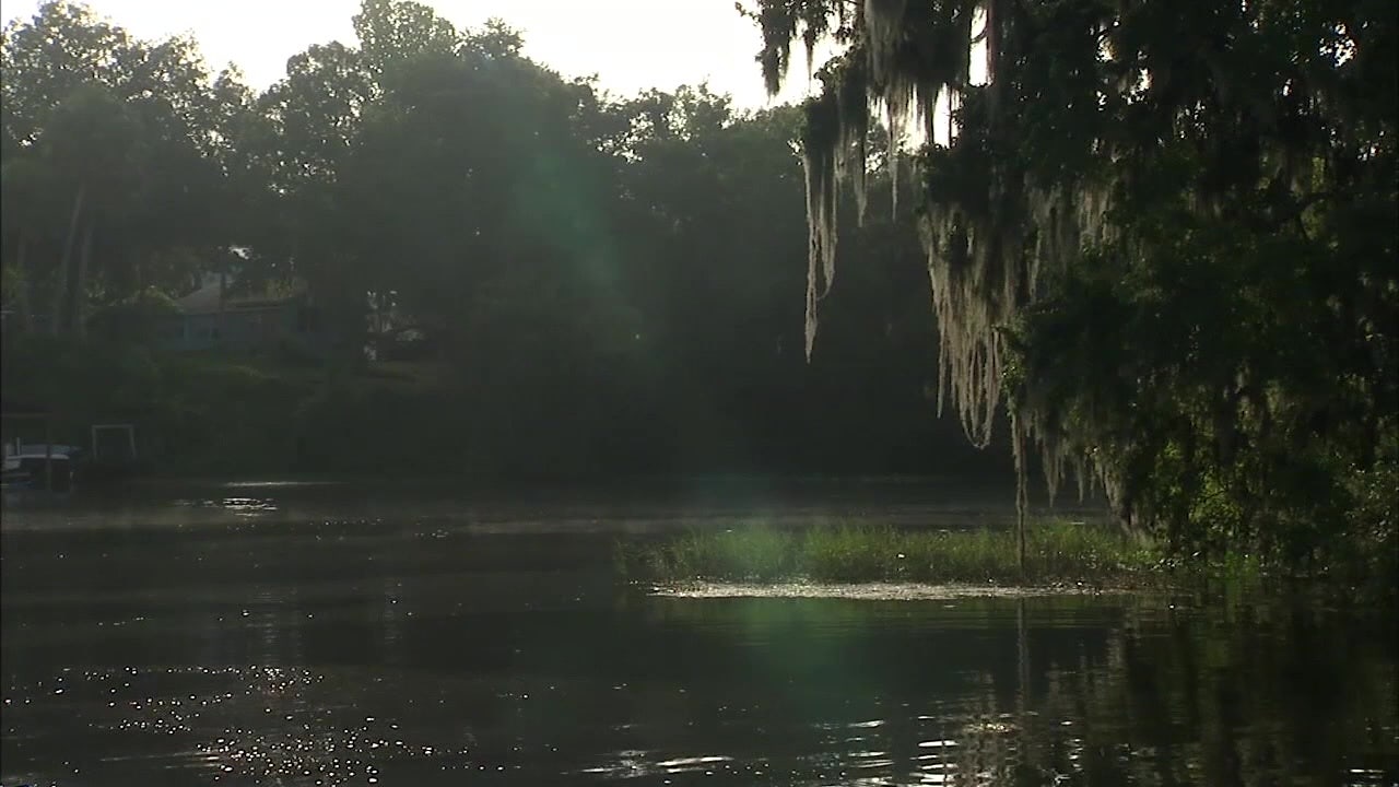 Dunnellon boat captain gives tours of the Withlacoochee River with a musical twist - Vimarsana News