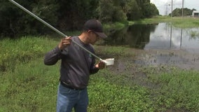 Polk County mosquito control teams focus on prevention efforts to prevent malaria spread