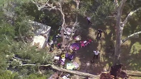 Hernando woman killed when tree falls on home: HCSO