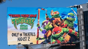 Tortoise rescue asks parents to buy toys, not turtles, ahead of ‘Ninja Turtles’ movie