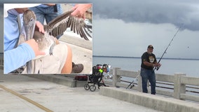 New FWC regulations on Skyway Fishing Pier is compromise for conservationists and anglers to protect seabirds