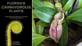 'Florida's Carnivorous Plants' gives insight on state's natives species from Tampa plant nursery owner
