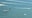 7 rescued after catamaran capsizes during Sarasota boat races, Coast Guard says