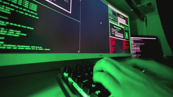 New Cyber Fraud Enforcement Unit will fight illegal online activity in Florida