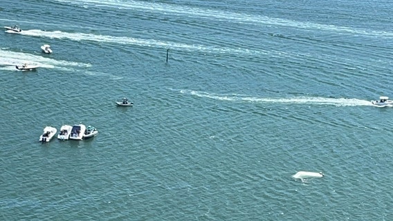 7 rescued after catamaran capsizes during Sarasota boat races, Coast Guard says