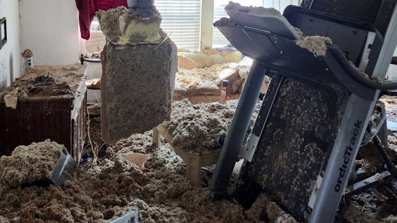 Consumer watchdog pushes for transparency as families face delays, disputes for Hurricane Ian repairs