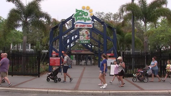 ZooTampa and HCA Healthcare victims of cyberattacks