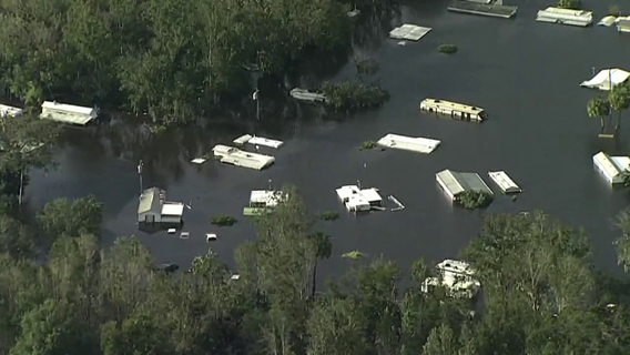 Flooding after Hurricane Ian could have moved 152 non-native species to new areas in Florida, study finds