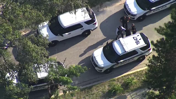 Four teens arrested for breaking into cars in Tampa, police say