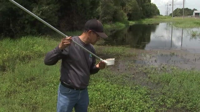 Polk County mosquito control teams focus on prevention efforts to prevent malaria spread