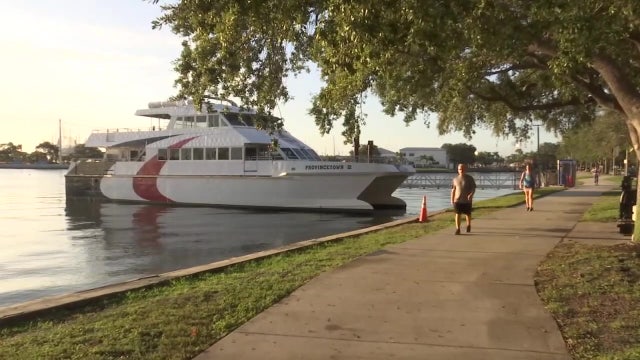 More money needed for proposed MacDill Air Force Base commuter ferry service