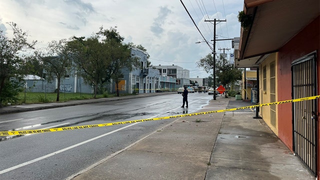 Suspect killed in shootout with Tampa police after stabbing mother in front of children: Investigators