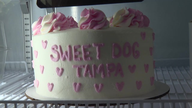 Sweet Dog Tampa officially opens its doors