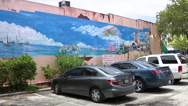 See and learn about the murals that make up St. Pete’s Central Arts District