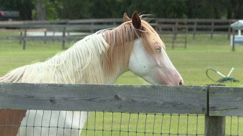 Rural areas in Sarasota County could be changing soon.