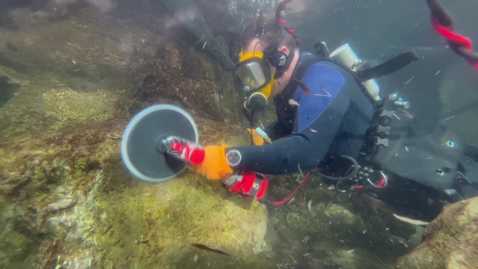 Power head scrubbers help get algae off of rocks.