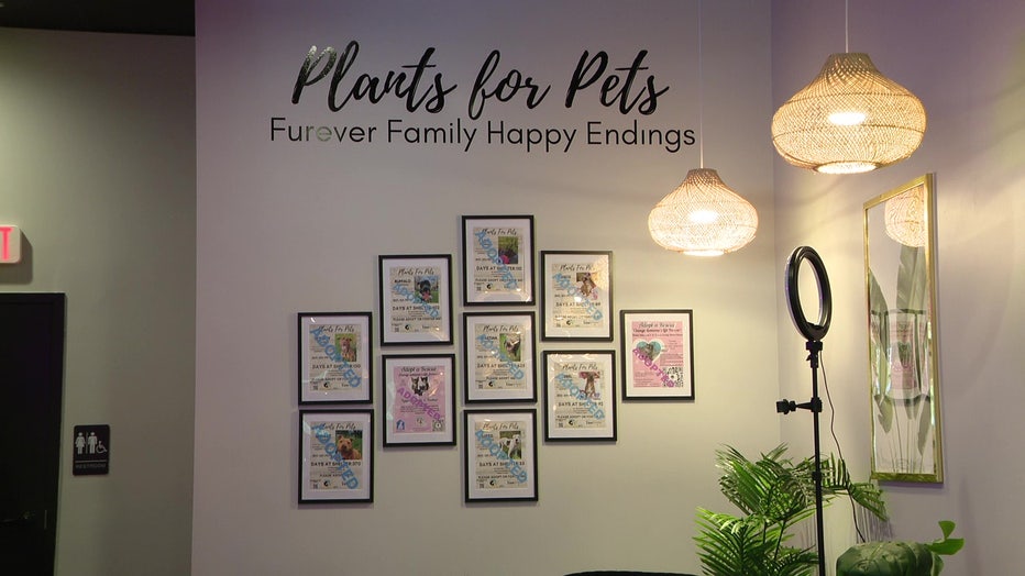 Danielle Stevens is the Owner of Vine Vegan Restaurant in Brandon has a wall dedicated to celebrating pet adoptions.