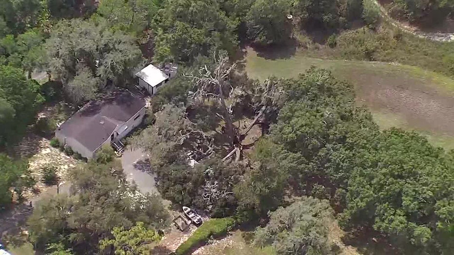 SKYFOX view shows a tree that fell on a woman's Hernando County home trapping her inside and killing her. 