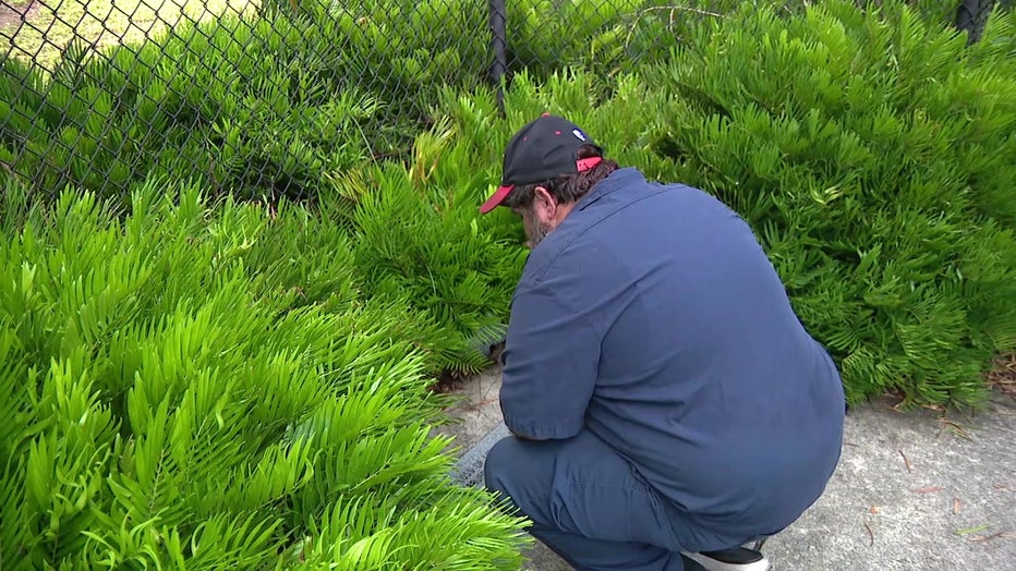 Jeremy Bush often visits the site of the sinkhole to honor his brother. 