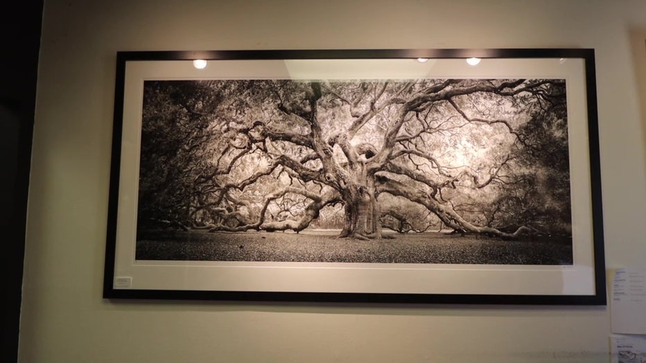 Clyde Butcher photograph in a museum. 