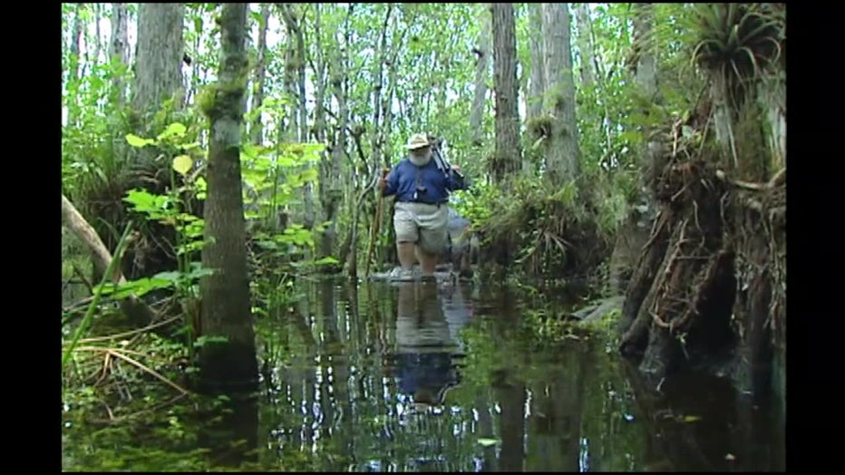 Clyde Butcher has walked through countless miles of swampland to find the perfect photo op. 