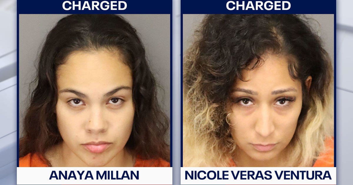 Two women charged after fatal Pinellas Park hit-and-run, police say ...