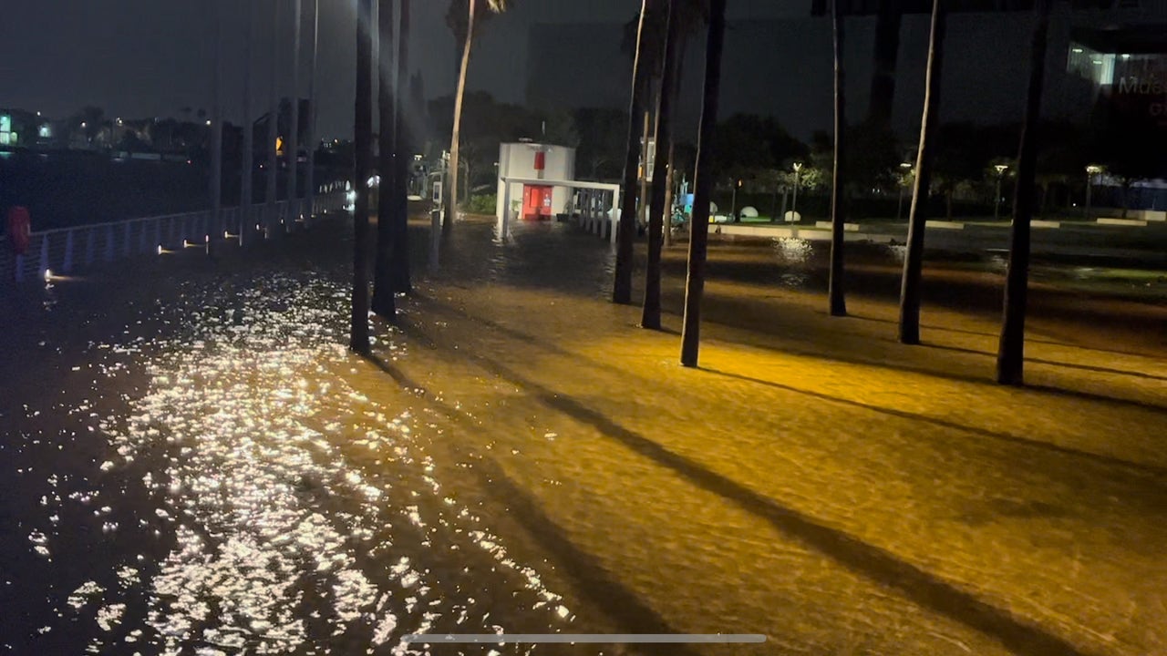 Hurricane Idalia Updates: Storm causes flooding, damage in Bay Area - Vimarsana News